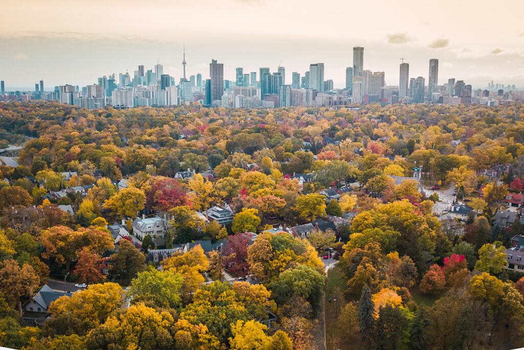 Toronto Neighbourhood